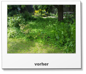 vorher