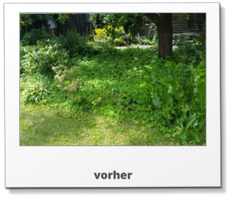 vorher
